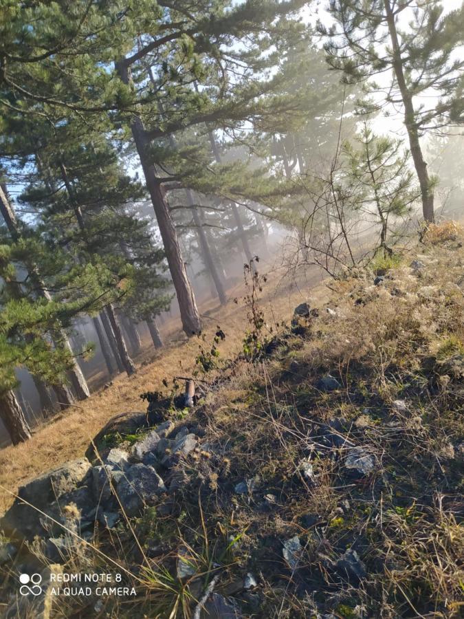 Modesty Zlatar Leilighet Nova Varoš Eksteriør bilde